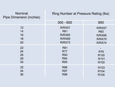 Ring Joint Gaskets Model BX