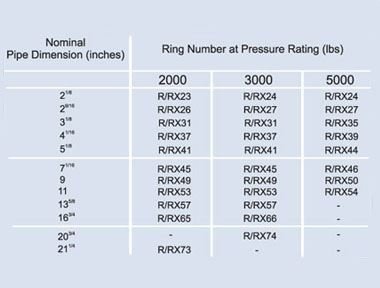 Ring Joint Gaskets Model BX