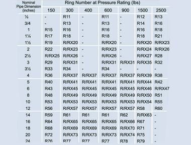 Ring Joint Gaskets Model BX