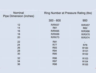 Ring Joint Gaskets Model BX