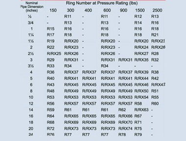 Ring Joint Gaskets Model BX